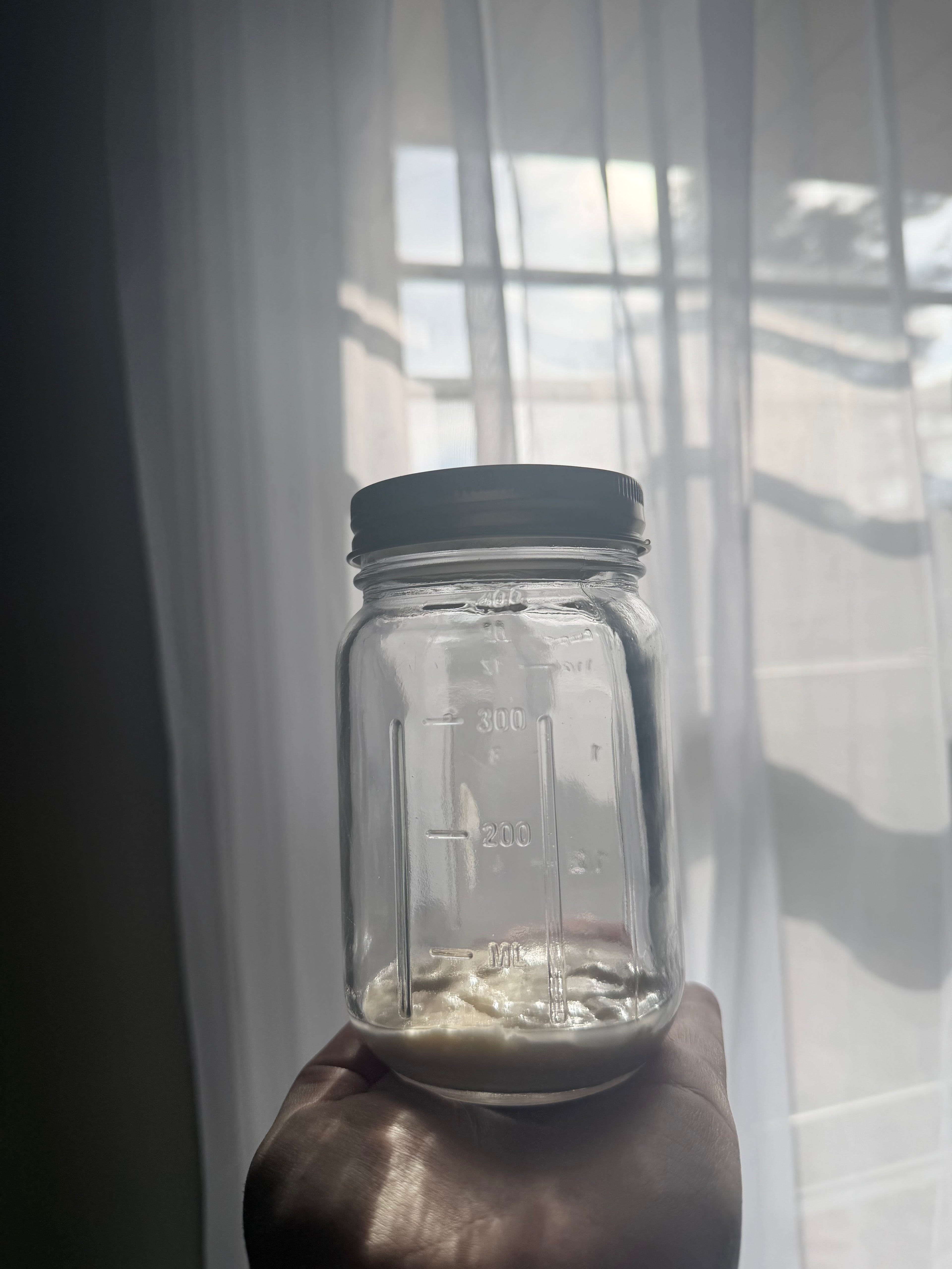 Sourdough starter